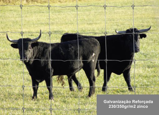 Rede Ovelheira Torfence